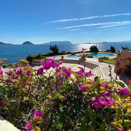 Luxury Ginepro Sea View With Common Swimming Pool Just 50 Mt From The *