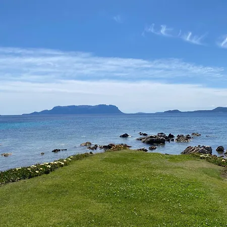 Apartment Luxury Ginepro Sea View With Common Swimming Pool Just 50 Mt From The *