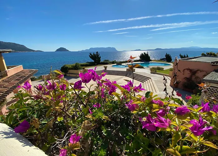 Luxury Ginepro Sea View With Common Swimming Pool Just 50 Mt From The *